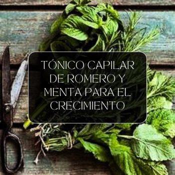 Tónico Capilar de Romero y Menta para el Crecimiento del Cabello Tónico Capilar de Romero y Menta para el Crecimiento del Cabello
